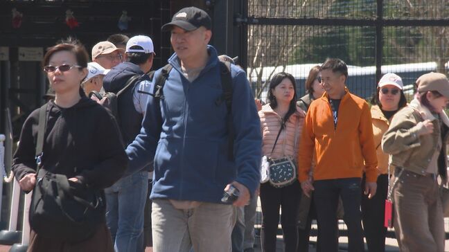 大分ー台湾便就航1年、宿泊者数が過去最多に 課題は「宿泊日数」“1泊の壁”どう超える?|TBS NEWS DIG
