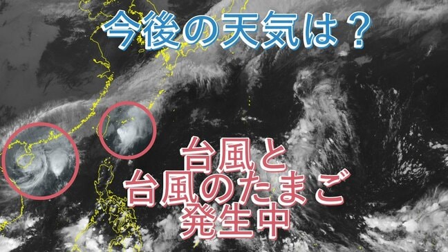 台風のたまごが再び発生⋯海水温はいまだ高く、今後の進路は？【雨風シミュレーション】|TBS NEWS DIG