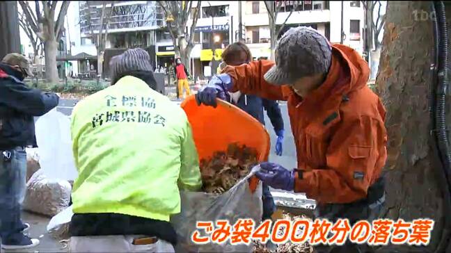 「きれいだなと思ってもらえるように」SENDAI光のページェントに向けボランティアが定禅寺通を清掃|TBS NEWS DIG