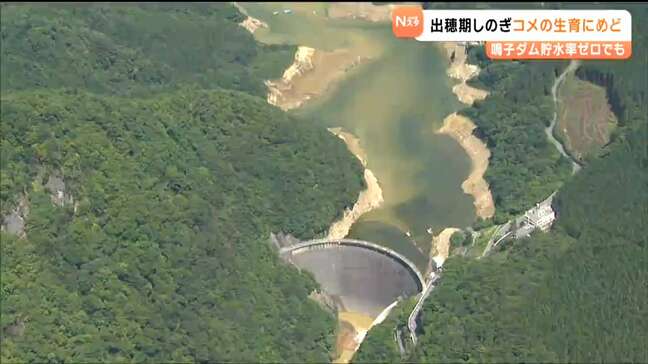 鳴子ダム”貯水率ゼロ”でも出穂期しのぎ、田んぼへの水供給の目処つく　宮城・石巻市|TBS NEWS DIG