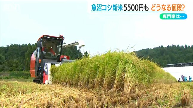 魚沼産コシヒカリ“ネット販売”は5kg5500円　仮渡金上昇で各地のコシヒカリは一体いくらに？|TBS NEWS DIG