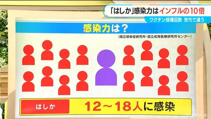 「はしか」感染力はインフルの10倍 34歳がワクチン接種の分岐点  世代で違う接種回数|TBS NEWS DIG
