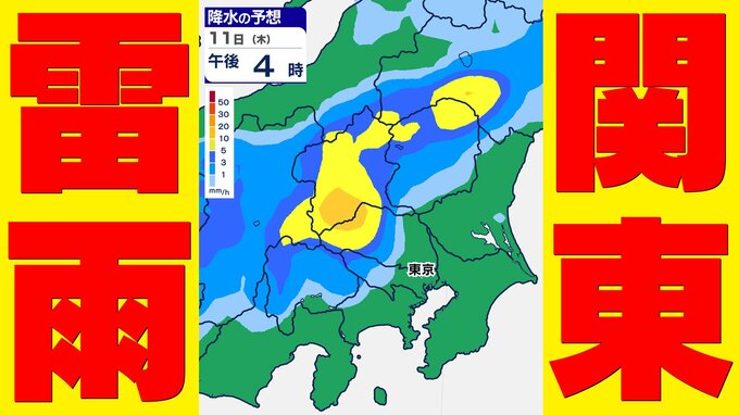 【東京首都圏 大雨情報】午後は本降り あすは必ず傘を持って！【雨と発雷確率のシミュレーション１０日（水）】東京・神奈川・埼玉・千葉・群馬・栃木・茨城|TBS NEWS DIG