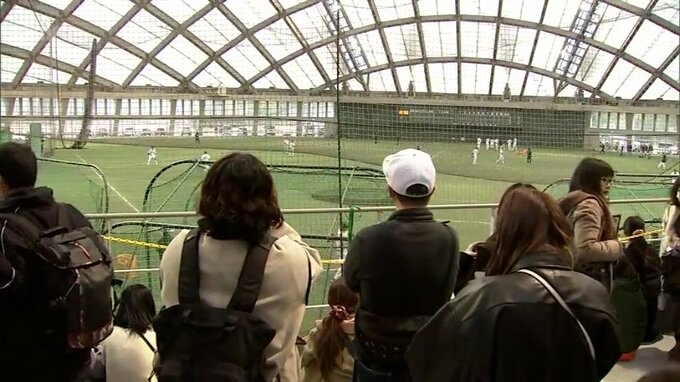 球春到来!宮崎県内でプロ野球3球団がキャンプイン　巨人キャンプには雨模様にもかかわらず大勢のファンの姿　|　MRTニュース ｜ ＭＲＴ宮崎放送