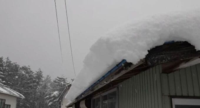 「これどうするんや!」石川・能登町でも雪…能登牛の生産者は飼育や出荷への影響を懸念　|　石川県のニュース｜MRO北陸放送