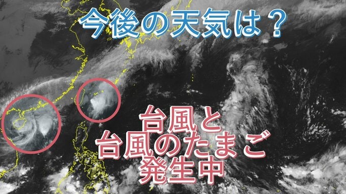 台風のたまごが再び発生⋯海水温はいまだ高く、今後の進路は？【雨風シミュレーション】　|　高知のニュース・天気｜KUTV NEWS | KUTVテレビ高知