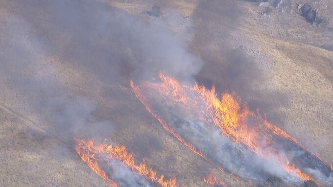 作業員の衣服に火が燃え移り死亡…恒例の秋吉台・山焼きで　山口・美祢|TBS NEWS DIG