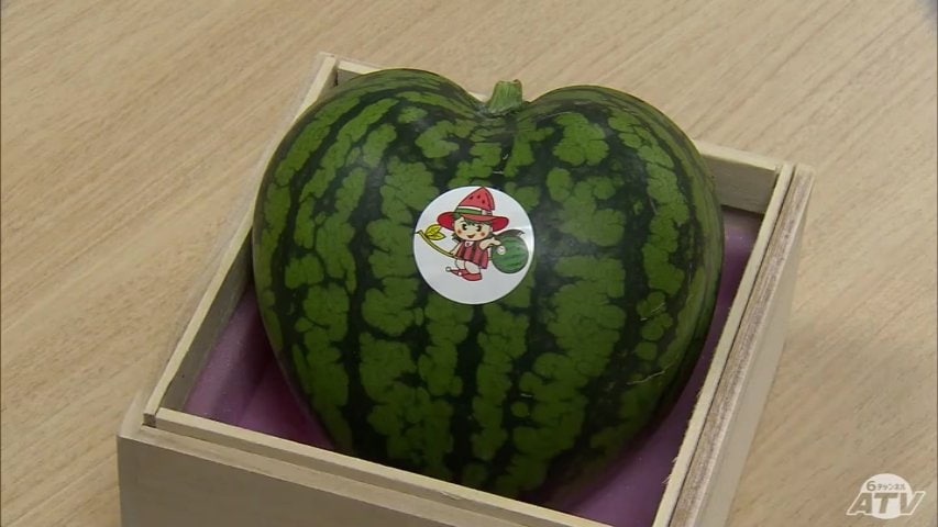 南部町産のハート型のスイカ 名前が「水夏（すいか）」に決定！ 地元の
