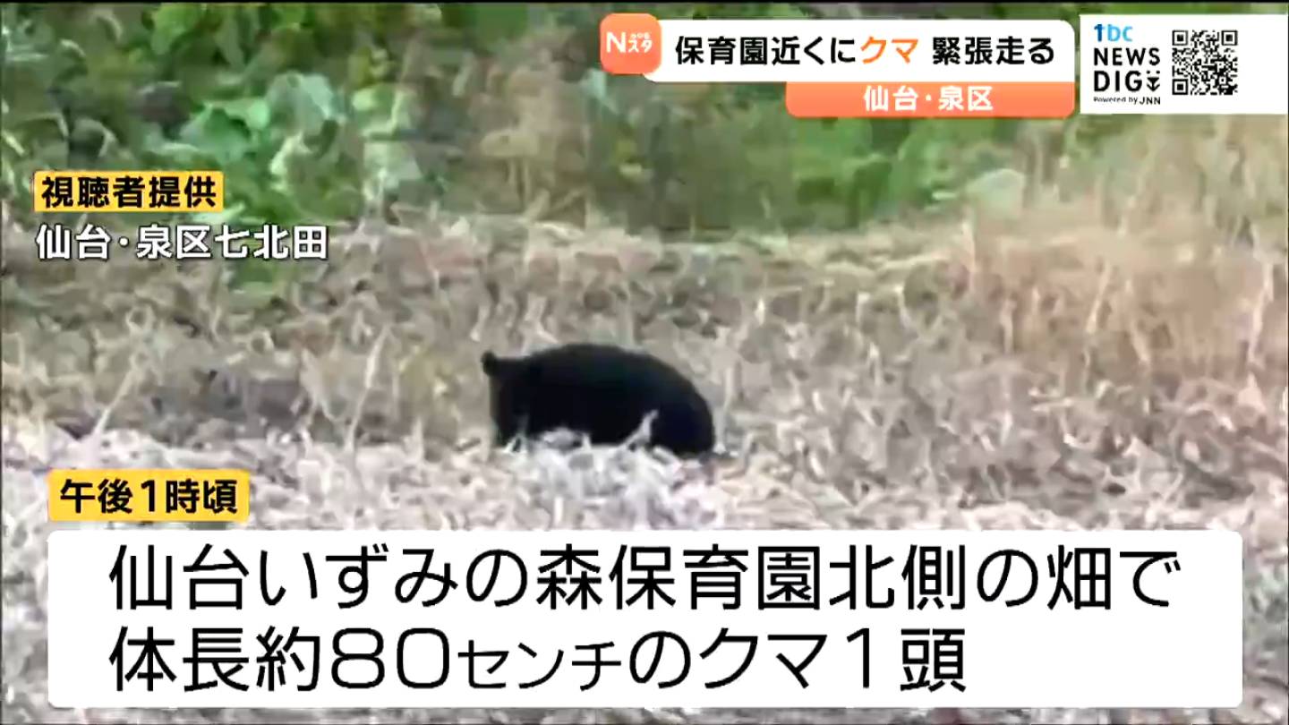 【くまいずみ】〜９月分お取り置き〜 仙台の保育園近くにクマ出没で一時緊張走る 園児が外に出られず・麻酔