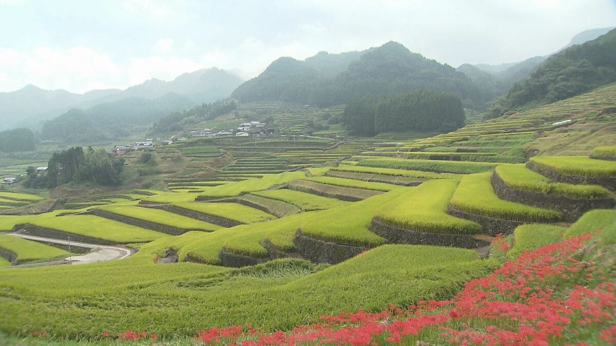 窯業集落と棚田「波佐見中尾皿山と鬼木棚田」国の重要文化的景観へ答申