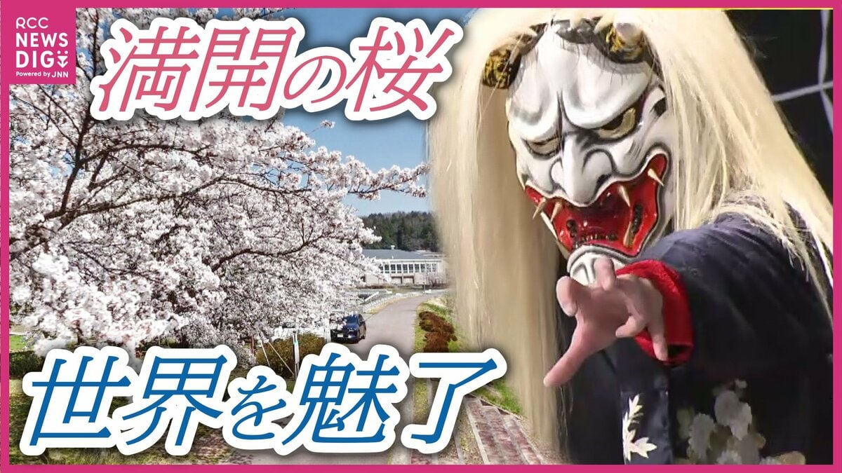 満開の桜並木と伝統の神楽を未来へつなぐ 神楽は世界を魅了 華やかな