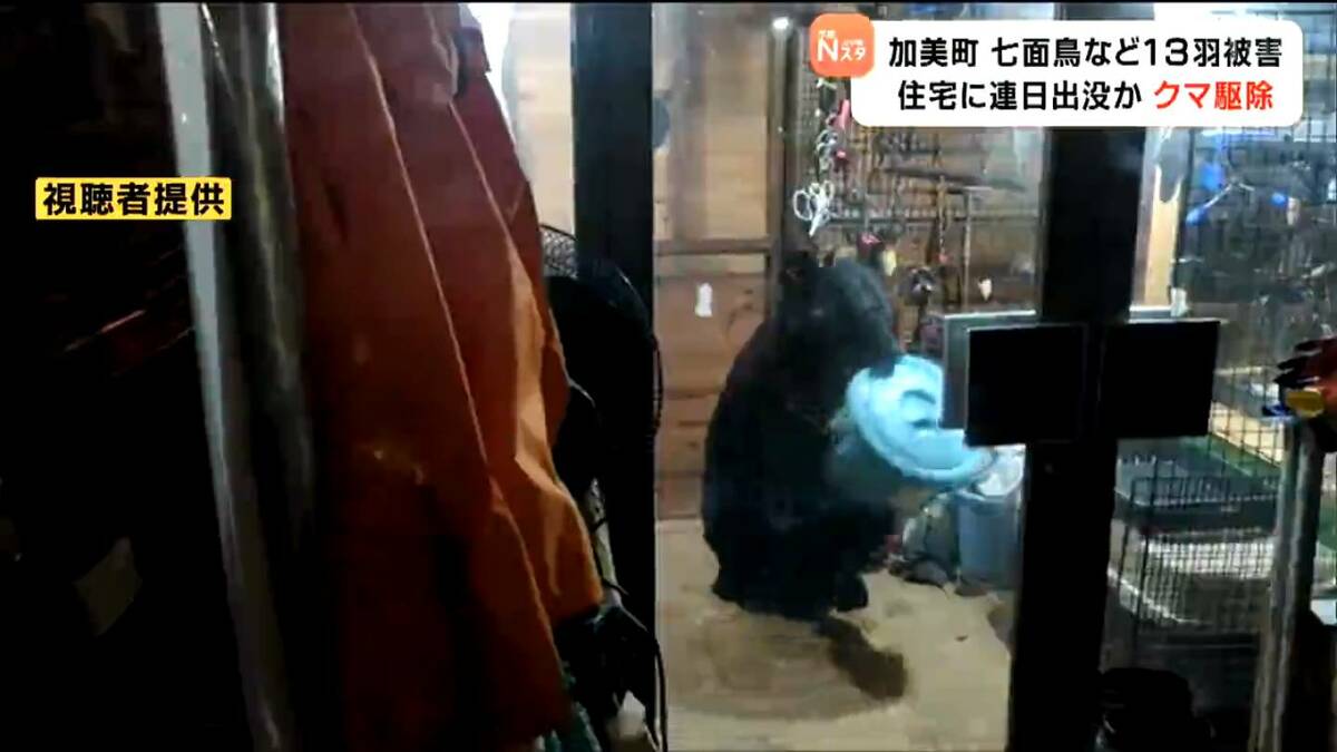 img_0af0bad02cf69f420a524366e9