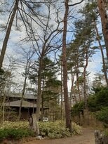 【速報】伐採作業中に落下した木があたり男女2人が死亡　長野・軽井沢町の別荘地で作業中…落下してきた木は長さ約160センチ・太さ90センチ|TBS NEWS DIG