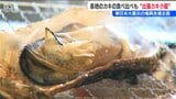 「カキを多くの人に食べてもらいたい」宮城県産・瀬戸内産・能登産カキを食べ比べ 被災地支援の“出張カキ小屋”賑わう 新潟・燕市 | 新潟のニュース・天気|BSN NEWS|BSN新潟放送