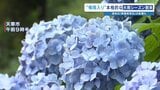 【大雨シーズン警戒を】熊本が“梅雨入り”　週末は警報級の大雨も　＜16日先までの天気＞あり　|　熊本のニュース｜RKK NEWS｜RKK熊本放送