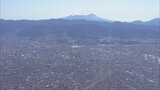 スギ花粉の本格的な飛散が始まる 山梨 | 山梨のニュース | UTYテレビ山梨