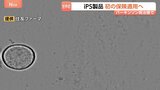 iPS細胞使った再生医療製品 公的医療保険の適用を了承　パーキンソン病治療“年内に1人目の移植を目指す”|TBS NEWS DIG