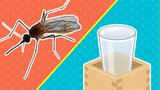 飲酒したら要注意?夏の厄介者「蚊」対策 刺されにくい服装は? 高層マンションでも油断できず|TBS NEWS DIG