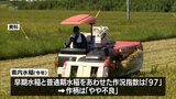 宮崎県内産の水稲 今年の作柄は「やや不良」 |TBS NEWS DIG