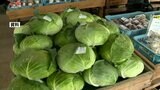 熊本市の農業漁業産出額 『過去10年で最高』肉用牛・野菜価格は上昇も ノリの単価は下落 | 熊本のニュース|RKK NEWS|RKK熊本放送
