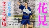 【お花見情報 土曜夜 にわか雨注意】どこよりも詳しい甲突川河畔のサクラ情報【忠元公園、観音ヶ池市民の森、魚見岳などの情報も】雨のシミュレーション【雨はいつから?どこで?】土日の天気予報 鹿児島 |TBS NEWS DIG