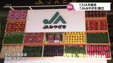 宮崎県内すべてのJAを統合 県域JA「JAみやざき」発足 農畜産物販売取扱高が単独JAとして全国最大規模に | MRTニュース | MRT宮崎放送
