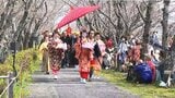 華やかな衣装に身を包み 浜松市で春の風物詩「姫様道中」=静岡|TBS NEWS DIG
