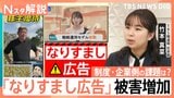 過去最悪…SNS投資詐欺「1274億円」の被害額 減らない「なりすまし広告」 制度・企業の課題は?【Nスタ解説】|TBS NEWS DIG