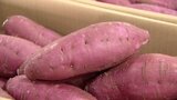 長引く残暑の影響は?青果市場で取材 葉物野菜は品薄で価格も高止まり 秋の味覚「カキ」「サツマイモ」の例年より小ぶりに | 福岡のニュース|RKB NEWS|RKB毎日放送