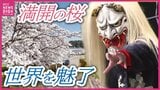 満開の桜並木と伝統の神楽を未来へつなぐ　神楽は世界を魅了　華やかな広島県北広島町の春|TBS NEWS DIG