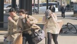 ビニールや倒木で特急15本運休 強風でJRダイヤに乱れ 国道九四フェリーは一時欠航 大分 | 大分のニュース|OBS NEWS|大分放送