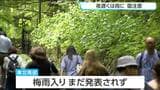 6月18日の宮城県内 夜遅くは各地で雨になる・梅雨入りは発表されず | 宮城のニュース│tbc NEWS│tbc東北放送