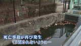「男の子が見当たらない」未就学児が公園近くの水路に転落し死亡　幼い命が再び…なぜ？　広島　|　RCC NEWS | 広島ニュース | RCC中国放送