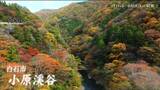 「小原渓谷」紅葉と昔ながらの湯治場スケッチ 宮城・白石|TBS NEWS DIG