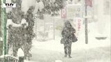 県内では大雪となっている所も 8日明け方にかけて大雪に警戒 鉄道・空の便にも影響(山形) | 山形のニュース│TUYテレビユー山形