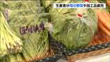 手頃な値段で大ぶりな旬の葉物野菜がたくさん「旬の香り市」仙台 | 宮城のニュース│tbc NEWS│tbc東北放送
