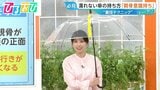 「傘」の持ち方で濡れ方が変わる！？「クロス持ち」「骨を意識」すぐできる“濡れない”テクニック【ひるおび】|TBS NEWS DIG