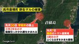 追いかけられ...　野生の猿にかまれて子ども２人がけが　４歳と小学２年生の児童　広島　|　RCC NEWS | 広島ニュース | RCC中国放送