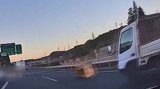 後続車を大きな危険にさらす高速道路の落下物 積み荷運搬の車両は十分な点検を パトロール現場に密着 | 大分のニュース|OBS NEWS|大分放送