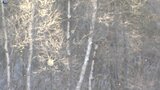 -21.5度の世界~厳寒の盛岡市薮川でダイヤモンドダスト 岩手県内各地 今季一番の冷え込みに | IBC NEWS | IBC岩手放送