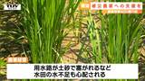 【山形大雨】被害は「200億ぐらい」JAが吉村知事に農業被害への支援などを求める | 山形のニュース│TUYテレビユー山形