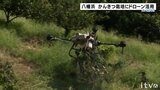 作業効率は16倍 柑橘栽培にドローン活用へ 新たな協議会を設立 愛媛・八幡浜 | 愛媛のニュース - Nスタえひめ|あいテレビは6チャンネル