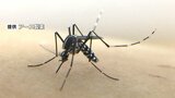夏の厄介者「蚊」は暑さが好き？苦手？「蚊」について知る特別授業　熊本・宇土高校　|　熊本のニュース｜RKK NEWS｜RKK熊本放送