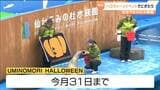 仙台うみの杜水族館がハロウィーンイベント開催 人気のイルカショーもハロウィーン仕様に 仙台|TBS NEWS DIG