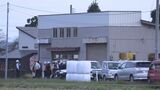 親子グマ?3頭が畳店の作業小屋に立てこもる 膠着状態続く 秋田・美郷町|TBS NEWS DIG