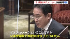 岸田総理「今、解散は考えていない」　先送りできない課題に取り組むことが優先と強調| TBS CROSS DIG with Bloomberg