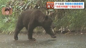 出没するクマに対する猟銃使用に「新たなガイドライン」市街地は“市町村判断”で発砲可能に…専門家「市町村職員が駆除従事者と十分なコミュニケーションを」|TBS NEWS DIG