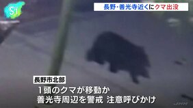 善光寺近くの防犯カメラに“歩くクマの姿” 長野市北部でクマの目撃情報相次ぐ 住民や観光客に注意呼びかけ |TBS NEWS DIG