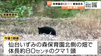 仙台の保育園近くにクマ出没で一時緊張走る 園児が外に出られず・麻酔