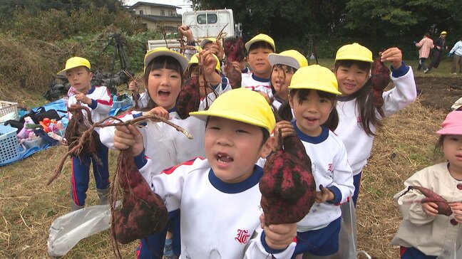 園児170人がイモ掘り体験 大分市の2園合同でサツマイモ収穫|TBS NEWS DIG